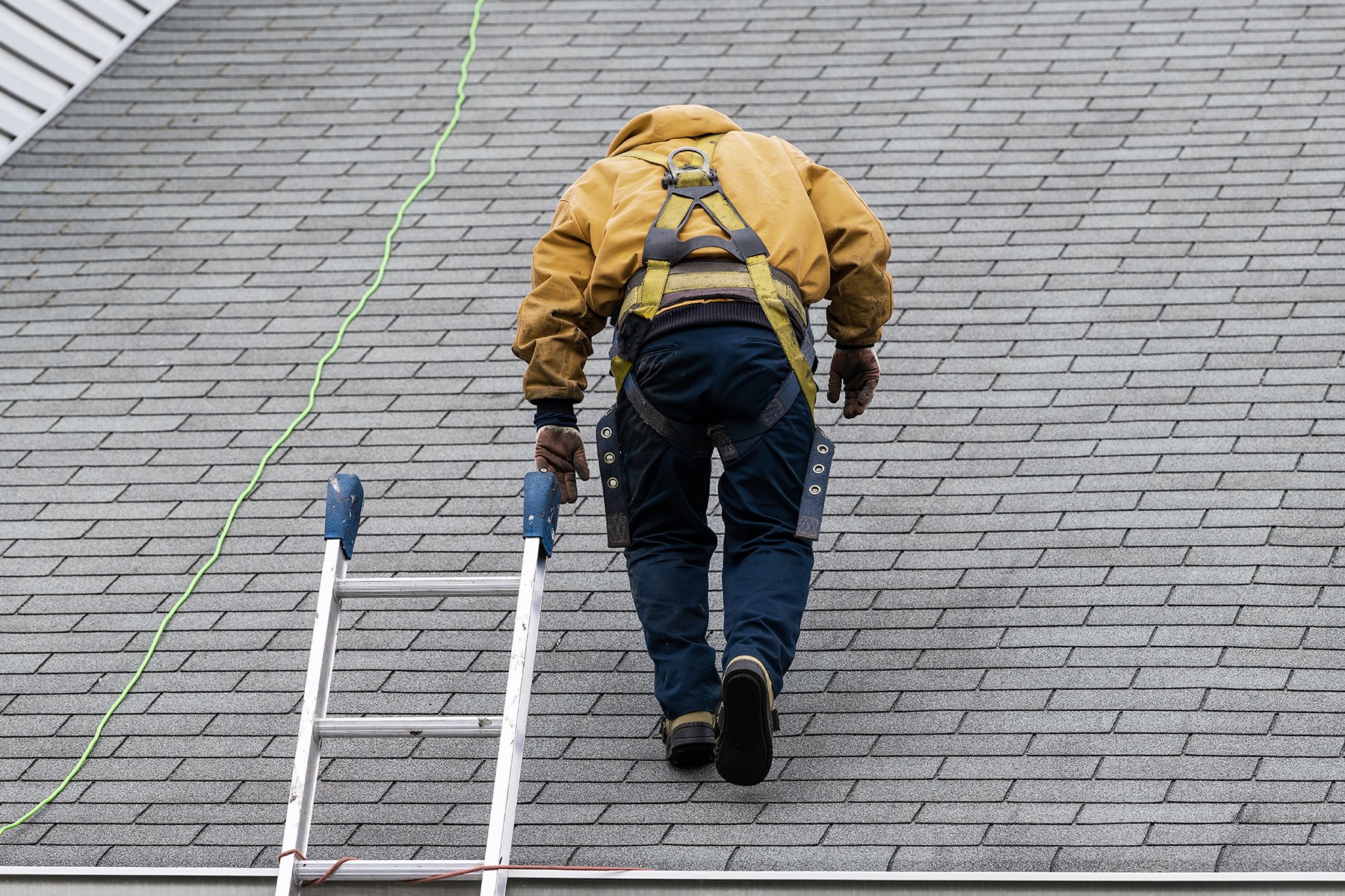 free roof inspections